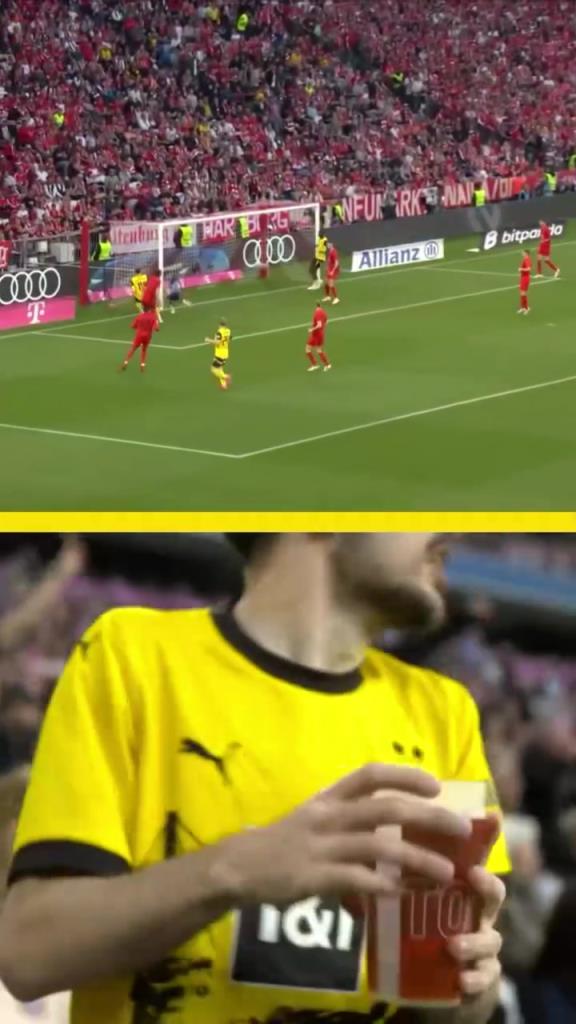 勇者無(wú)懼！這是真多特球迷！在拜仁球迷區(qū)一個(gè)人肆意慶祝！